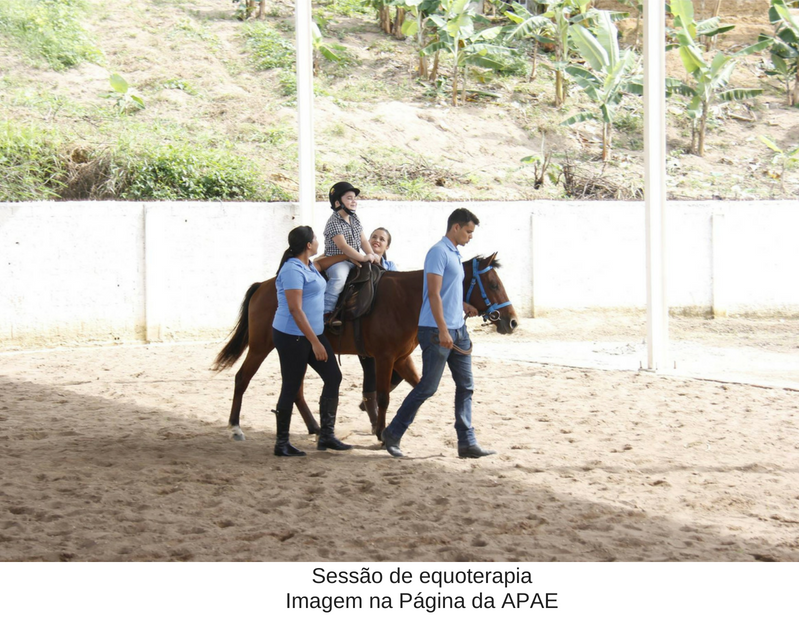 Sessão de equoterapia. IMAGEM- Página da APAE de Areia  Sessão de equoterapia. IMAGEM- Página da APAE de Areia