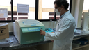 PESQUISA DA UFPB EM PARCERIA COM UFPI DESENVOLVE NANOPARTÍCULAS COM POTENCIAL CONTRA CÂNCER DE PELE O produto nanoparticulado possui alta eficácia contra células cancerígenas e baixa toxicidade contra células normais. Foto: Aline Lins
