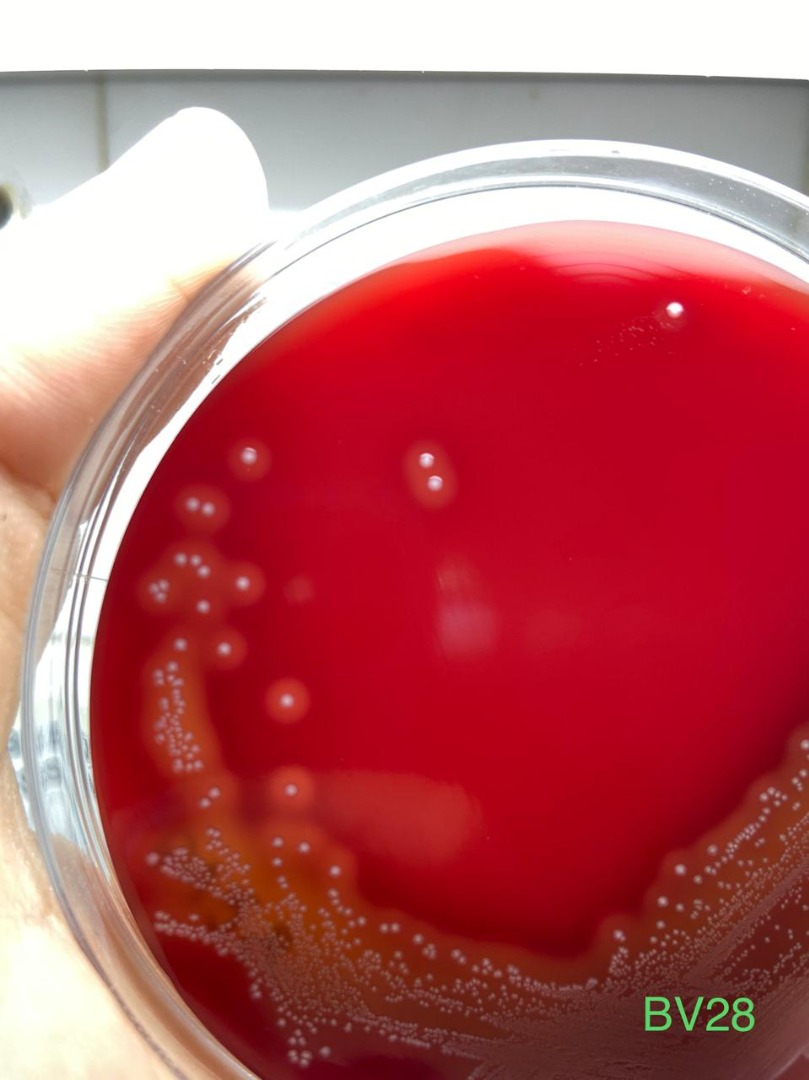 220820253.jpeg 220820253.jpeg