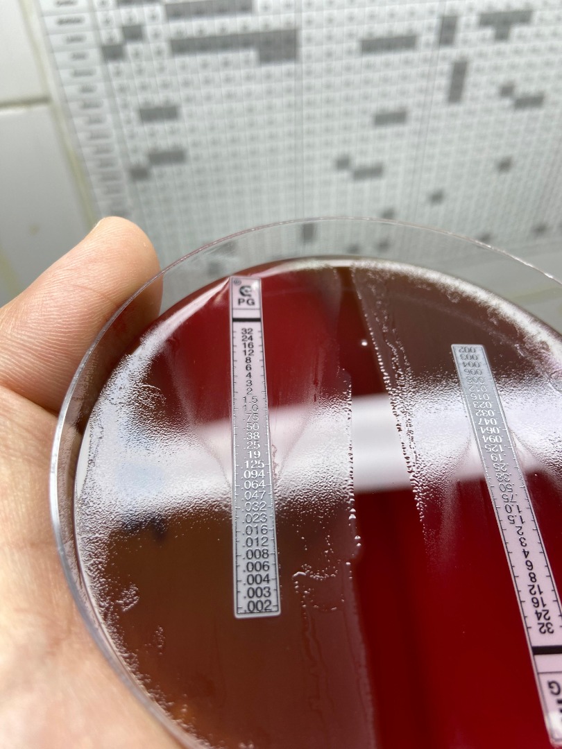 220820254.jpeg 220820254.jpeg