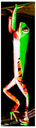 pererecamacaco.png