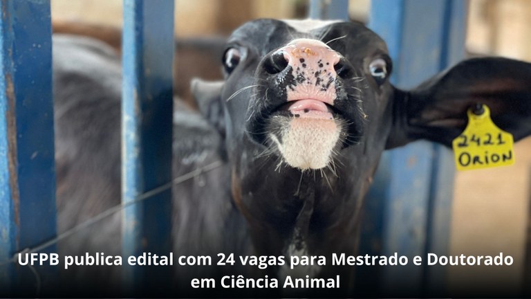 UFPB publica edital com 24 vagas para Mestrado e Doutorado em Ciência Animal