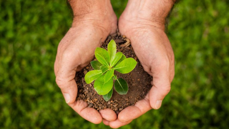 UFPB realiza I Fórum de Sustentabilidade para atualizar Política Ambiental