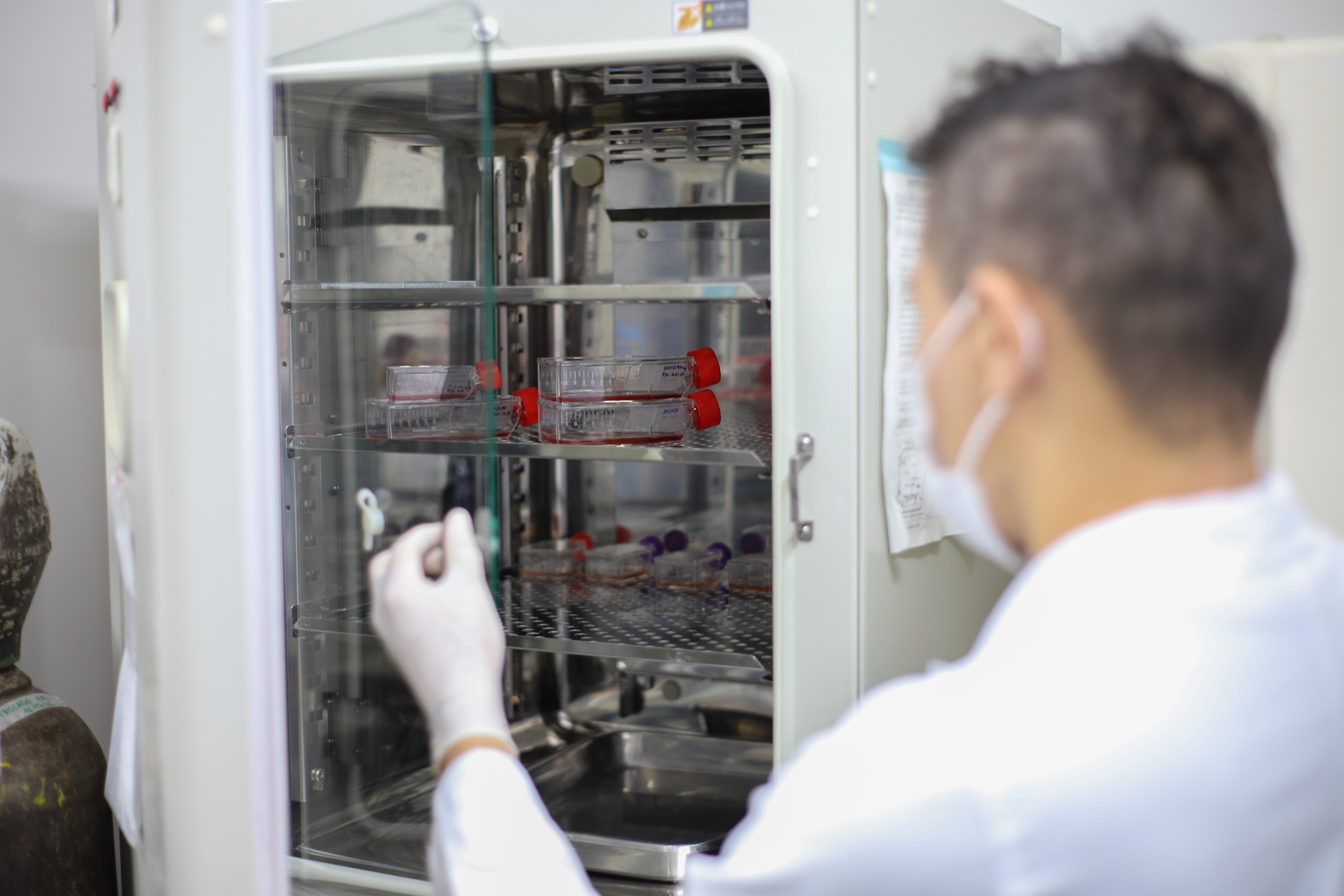 CHAMADAS 08 E 12/2024: PRAZO DE SUBMISSÕES PRORROGADO Foto: Angélica Gouveia